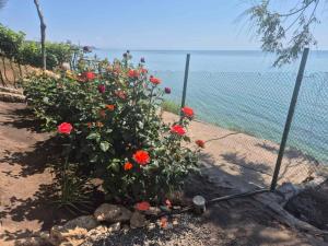 Будинок на морі