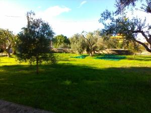 Little Paradise