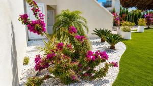 Great stay in Denia swimming pool