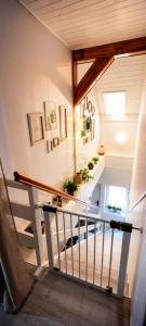 Apartmán Lipová-lázně