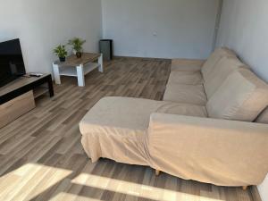 Oferta noclegów 16663116