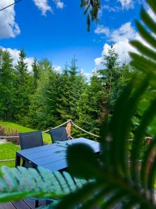 Domki Dwa jelonki - balia z jacuzzi i sauna