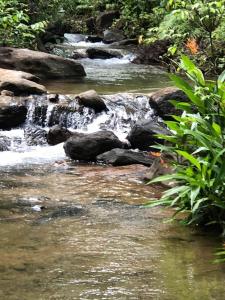 Achinthya Nature Resort
