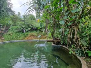 Achinthya Nature Resort