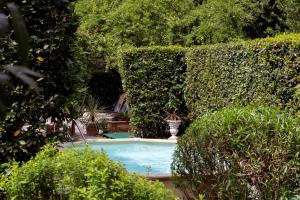 Villa Roocello, charming restored olive mill, with pool