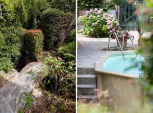 Villa Roocello, charming restored olive mill, with pool