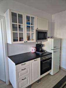 Apartment in winery house in Šenkvice