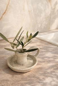 Avgi Loft Collection