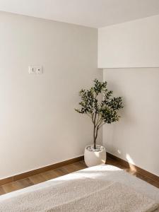 Avgi Loft Collection
