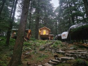 log hut dharamkot