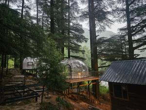 log hut dharamkot