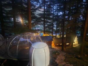 log hut dharamkot
