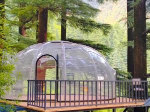 log hut dharamkot