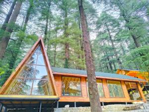 log hut dharamkot