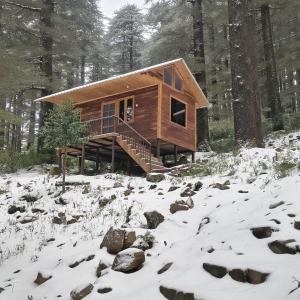 log hut dharamkot