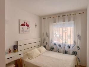 Comfortable apartment with 2 bedrooms and Pool