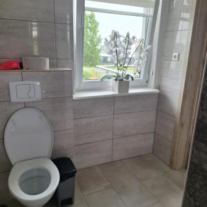 pod brzózkami