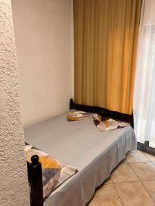 Hotel PEJA