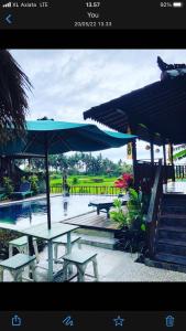 Green Paddy Hostel & Villa