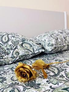 Opera Terrace Apartment - Centro Mare Pesaro