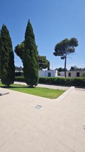 La casa del Pino