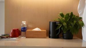 Arena Lucky Condotel