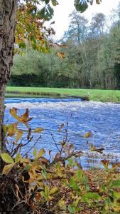 Country Cottage 5km from Doneraile