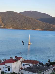 Sea view Goldins house