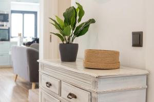 Modern Duplex in Faro Downtown