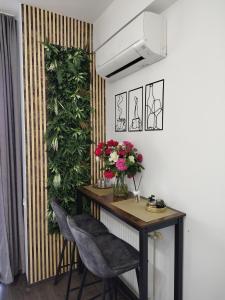 Kaan Studio - Mamaia Summerland