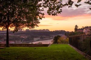 Central Porto 1BR Apartment - Oporto Bridges