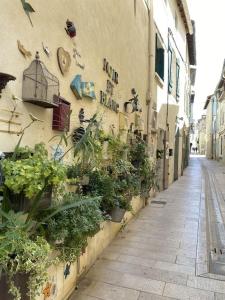 Jolie Maison centre village avec tropézienne