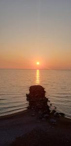 Metasuites Beach