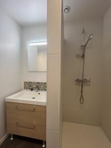 appartement chaleureux tout equipe a deux pas du centre d angers - 8-10 pers