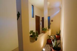 Beautiful studio in the heart of the city.