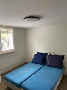 Eendje 2 I Luxe recreatiewoning met hottub
