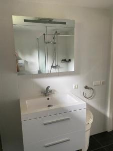 Eendje 2 I Luxe recreatiewoning met hottub