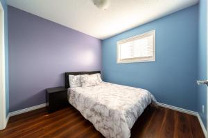 Celest Homes