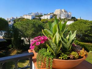 Sunny 1 bedroom in Monte B , Mijas Miraflores