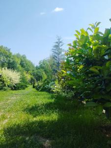 Pensiunea agroturistica Primavara