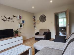 Mieszkanie Solina