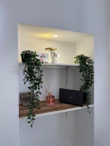 Cozy Studio for Couples near Pitti Palace