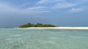 EcoWave Retreat- Muli
