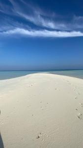 EcoWave Retreat- Muli