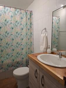 Condominio parque Swiss en Pucon