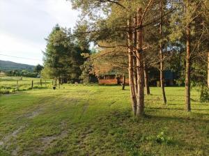 Zielona Polana