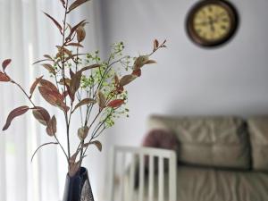 Vėjo Gūsis apartments ČikiPuki