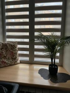 City apartment