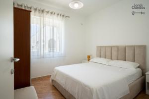 Jonis Small Condo