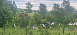 Oaza Spokoju Kaszuby Domki Premium Sauna Balia na wyłączność